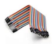 Dây Bẹ Đực-Đực Dài 30cm